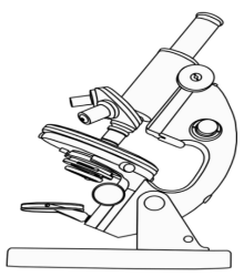 Microscope